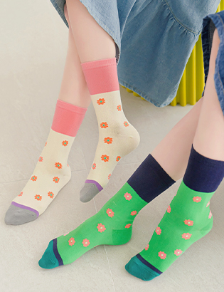 Daisy color matching socks Korea