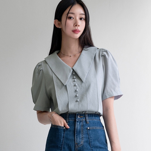 Sleeve Pintuck Collar Blouse