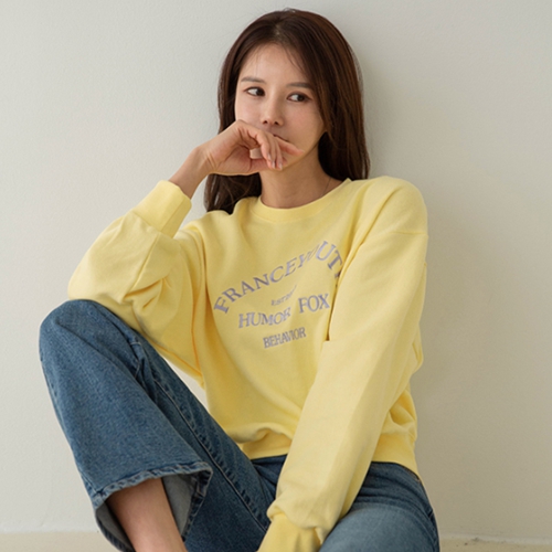 French pastel Embroidery sweatshirt