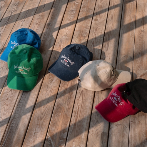 Pigment Vintage Embroidered Ball Cap