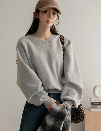Back Label Double-sided fleece lined V Sweatshirt Korea