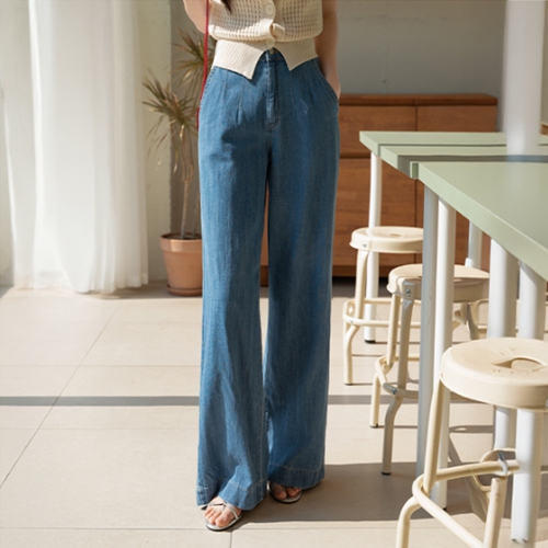 Perfect Pants 113ver (summer pintuck wide)