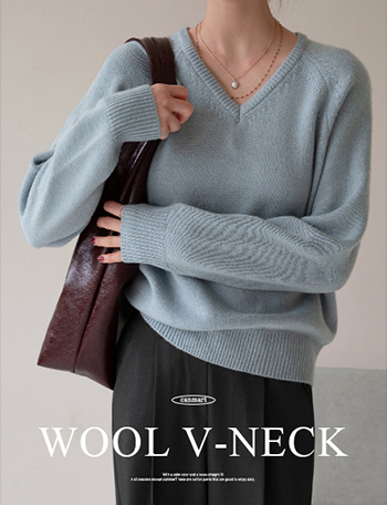 Fine Bee Wool V-neck Knitwear Korea