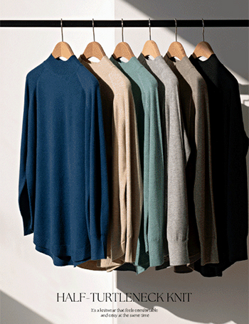 Bottom Half Turtleneck Knitwear Korea
