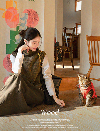 Wood Turtleneck Knitwear Vest Korea