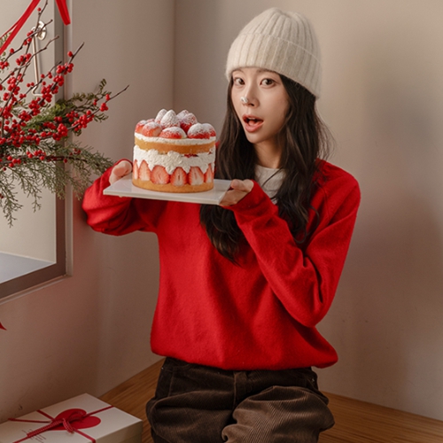 [Special Sale] Ever Wool V Neck Knitwear