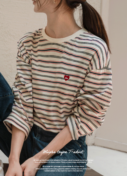 Mix Stripe Embroidery T-shirt Korea