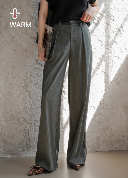 Modern Stripe Wide Slacks Korea