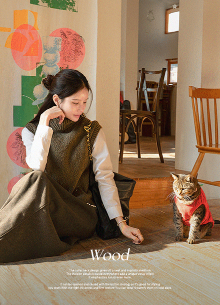 Wood Turtleneck Knitwear Vest Korea