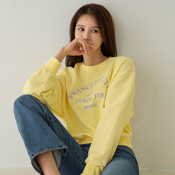 French pastel Embroidery sweatshirt