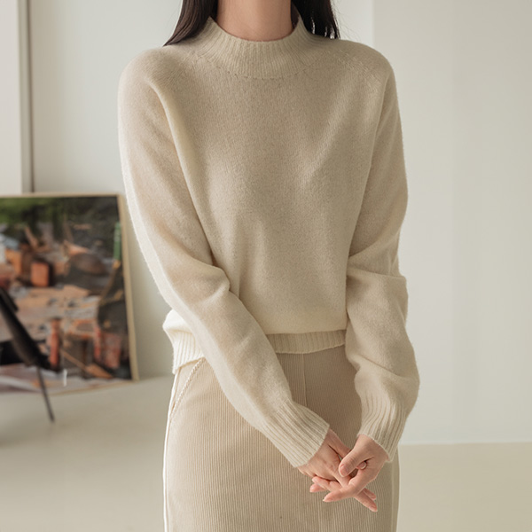 Wool Holgemeine Half Turtleneck Knitwear