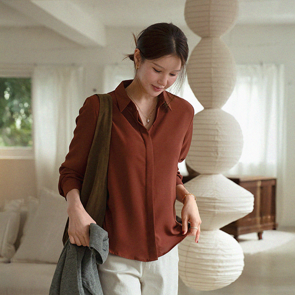 [Special Sale] Hidden Button Wrinkle Free Blouse