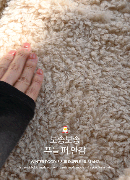 윈터 poodle Fur 떡볶이 Mustang Korea