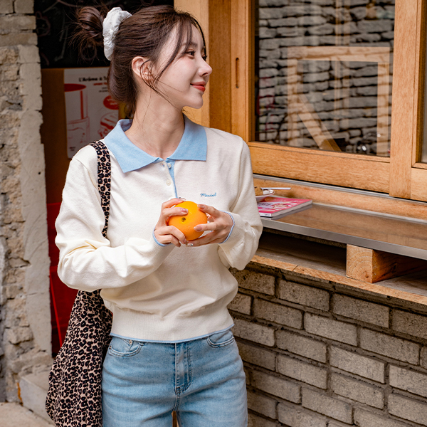 Basic Color Matching Collar Embroidery Knitwear