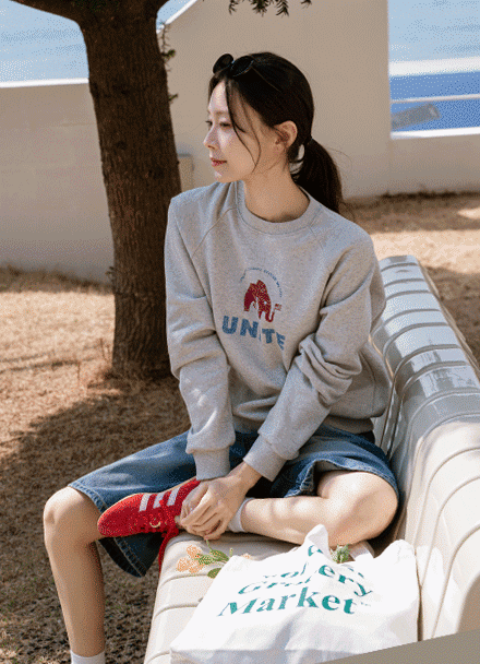 Elephant Printing Sweatshirt Korea