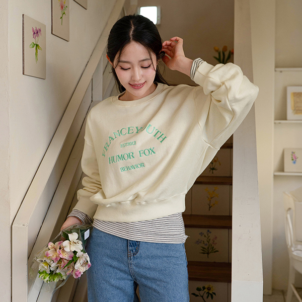 French pastel Embroidery sweatshirt