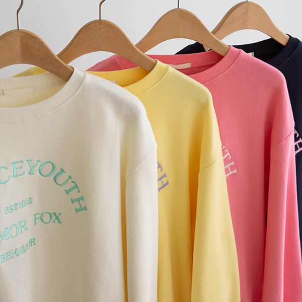 French pastel Embroidery sweatshirt