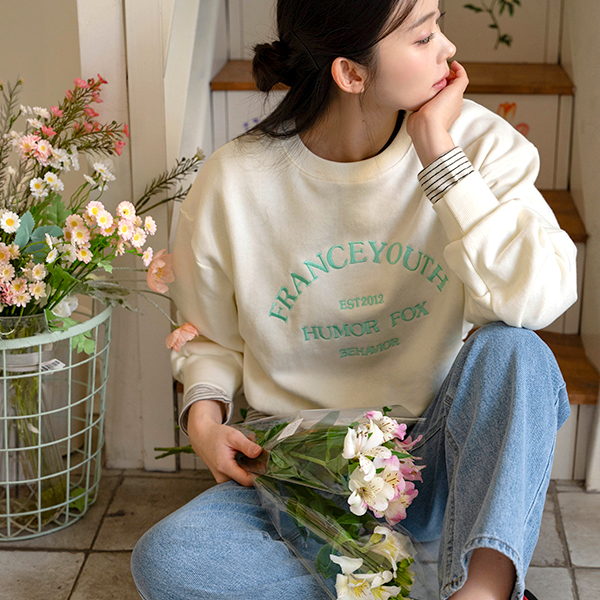 French pastel Embroidery sweatshirt