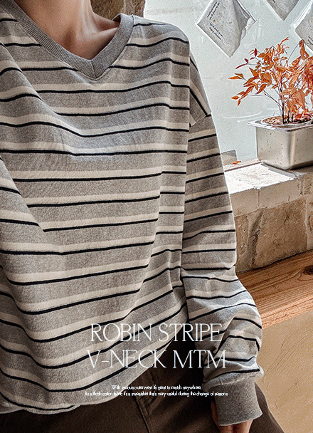 Robin Stripe V Sweatshirt Korea