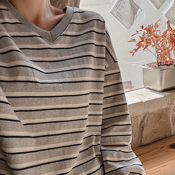 Robin Stripe V Sweatshirt