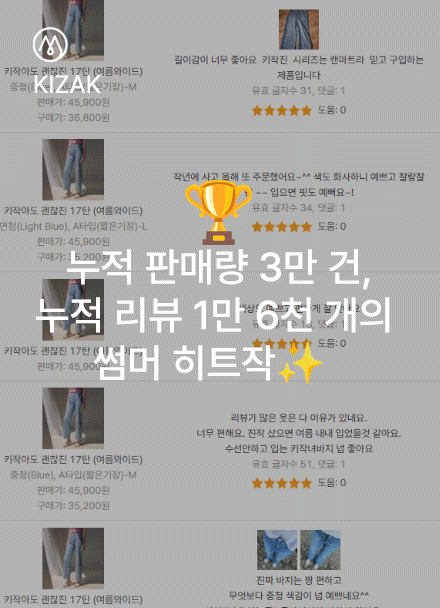 Perfect Pants 17ver (summer wide) Korea