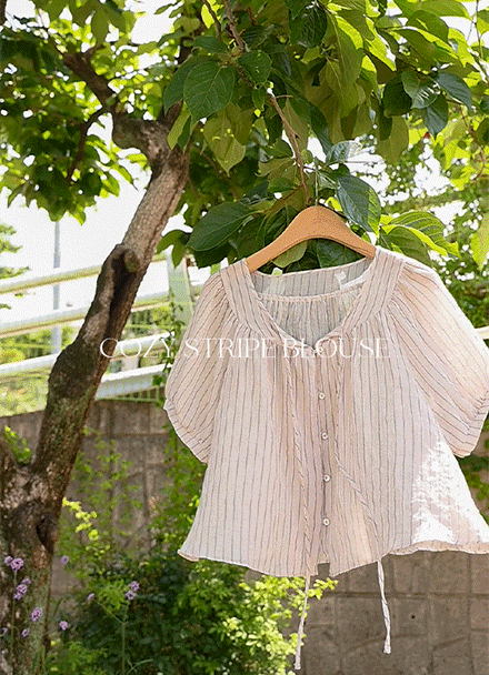 Cozy Stripe Blouse Korea