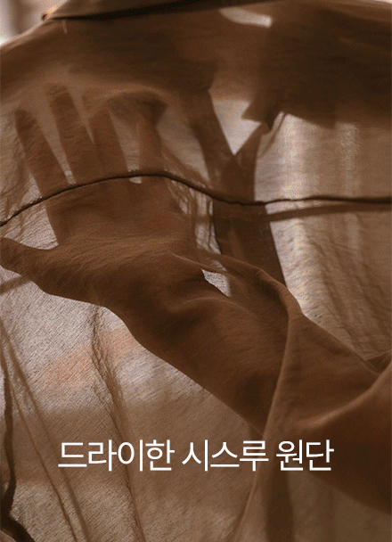 Delicate See-through Basic Collar Shirt Korea