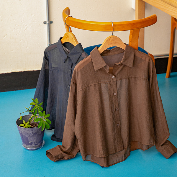 Delicate See-through Basic Collar Shirt