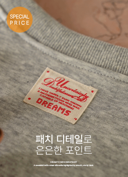 [Special Planning Price] Dreamy V-neck Sweatshirt Korea