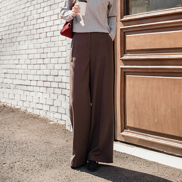 Perfect Pants 102ver (Warm Touch One-Pin Tuck Slacks)