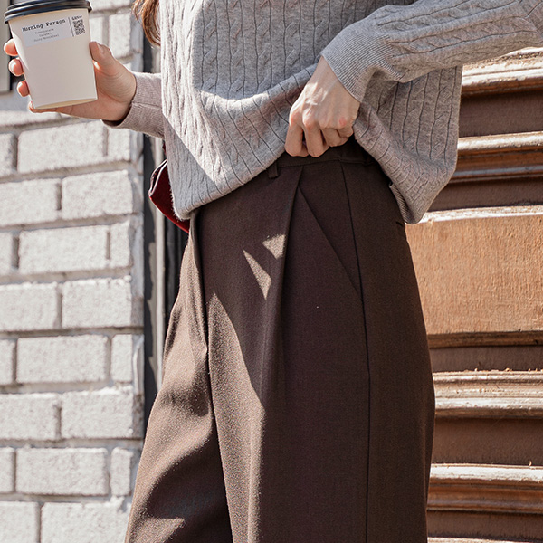 Perfect Pants 102ver (Warm Touch One-Pin Tuck Slacks)