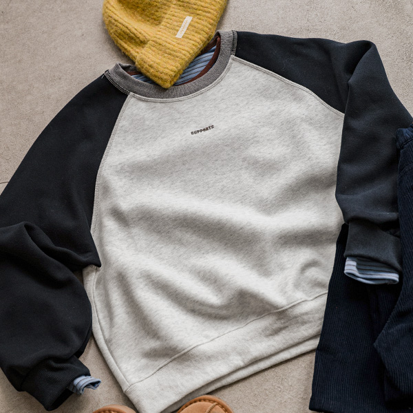 Color Matching Raglan Embroidery Sweatshirt