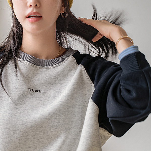 Color Matching Raglan Embroidery Sweatshirt