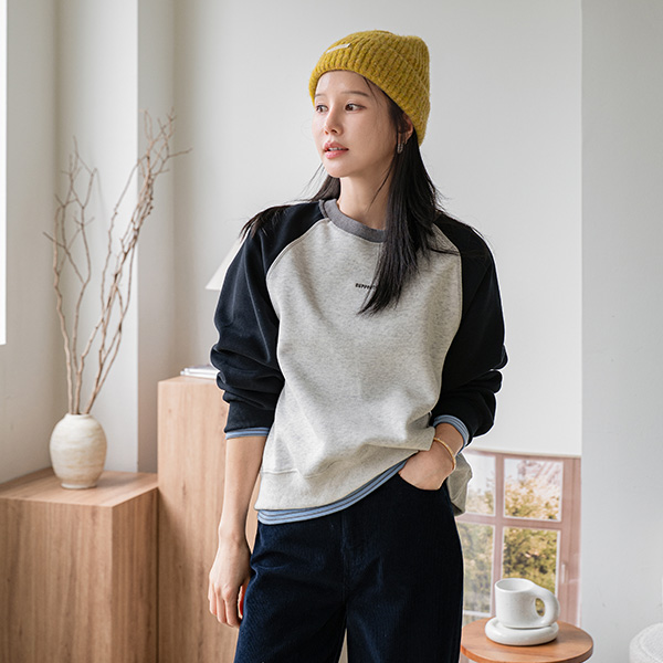 Color Matching Raglan Embroidery Sweatshirt