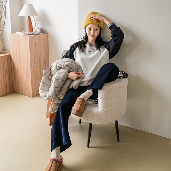 Color Matching Raglan Embroidery Sweatshirt